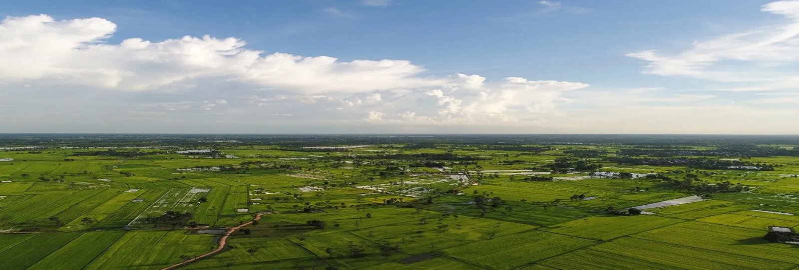 Vast Alibag Land Spaces